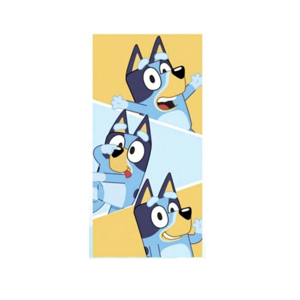 Bluey and Bingo Microfiber Pool Bath Beach Towel